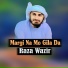 Raza Wazir
