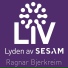 Ragnar Bjerkreim