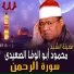 Al Sheikh Mahmoud Abo Al Wafa Al Seidy