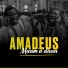 AMADEUS