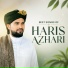 Haris Azhari Pulingome