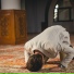 Qari Rizwan Ullah
