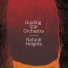 Guiding Star Orchestra