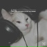 Music For Cats