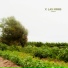 marneith