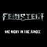 Feinstein