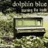 Dolphin Blue