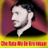 Sayed wali wazir