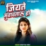 Rohit Yadav Rishi