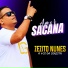 ZEZITO NUNES A VOZ DA SERESTA