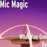 Mic Magic