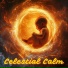 Symphony Orchestra Meditation And Relaxation