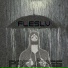 FlesLV
