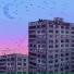 loonatic, Курлик