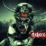Chakora