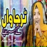 Anam Noor Zamaan