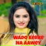 Sahin Khan Mewati, Waseem Dehangal
