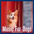 Relax My Dog, Dog Music Dreams