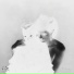 Amijey