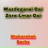 Shahanshah Bacha