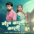 shambhu meena, Renu rangili