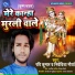 Ravi Kumar feat. Nivedita Maurya