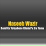 Naseeb Wazir