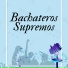 El chaval de la bachata
