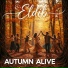 Eldib