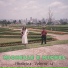 Michelle Cris, Michel Jhonny