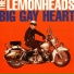 The Lemonheads