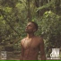 d1nn feat. BRAZZALAB