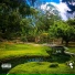 T. Po