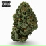FxCKLOSBICOS