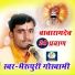 Bheru puri Goswami