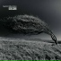 Spectral Hallucinations