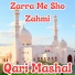 Qari Mashal