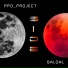 PPO PROJECT feat. SalDal