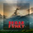Regar Fvnky