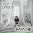 Temir Dinart