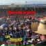 los huaches de tierra caliente