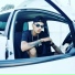 S.T.G, La Da Leste
