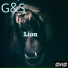 G&S