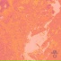 Jaquarius