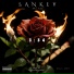 SANKEY