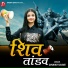 Dhanvi Dave