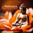 Pura Meditazione Zen