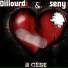 Seny, Dillourd