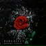 Dara Blaxx
