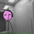 кошки нет